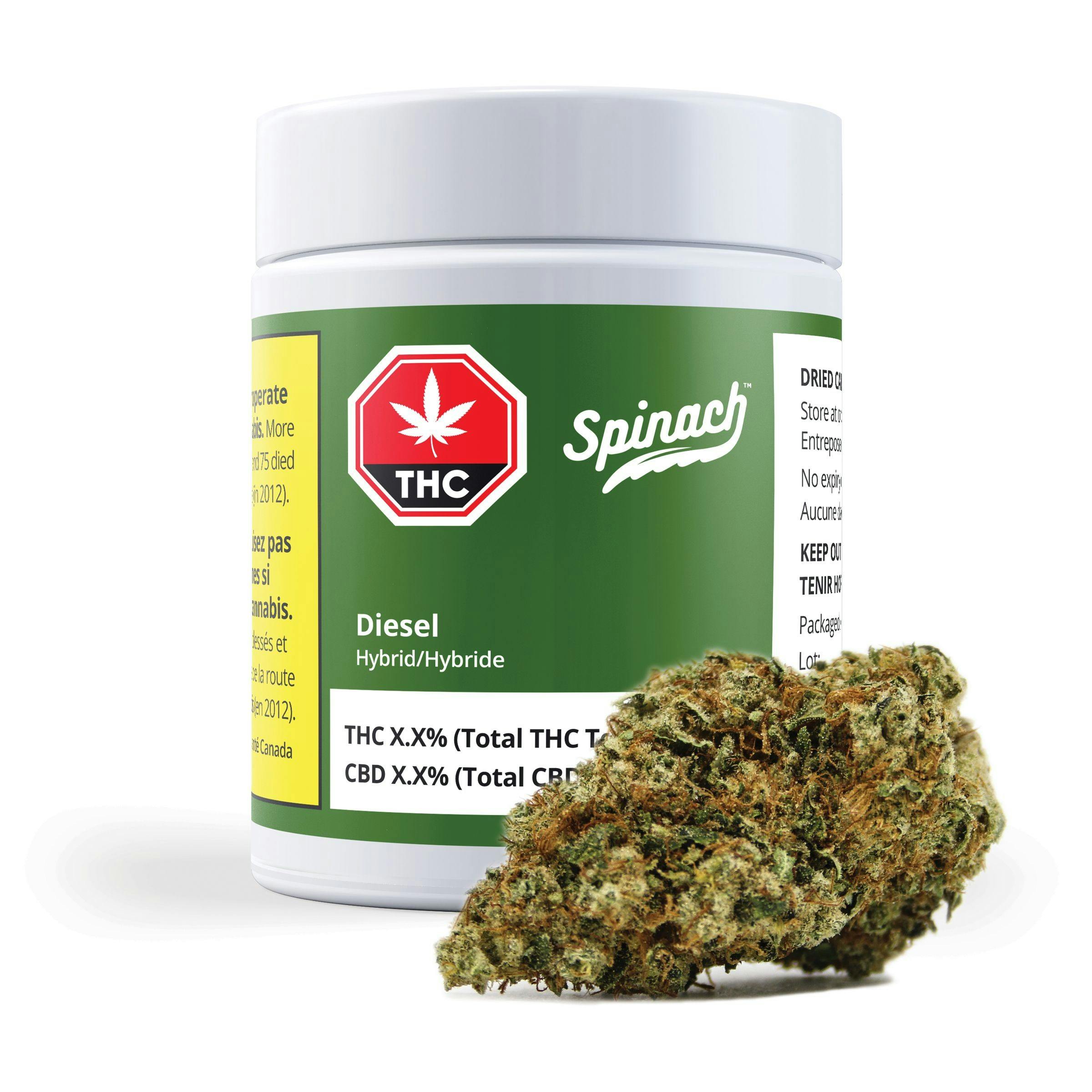 SPINACH - Diesel 7g